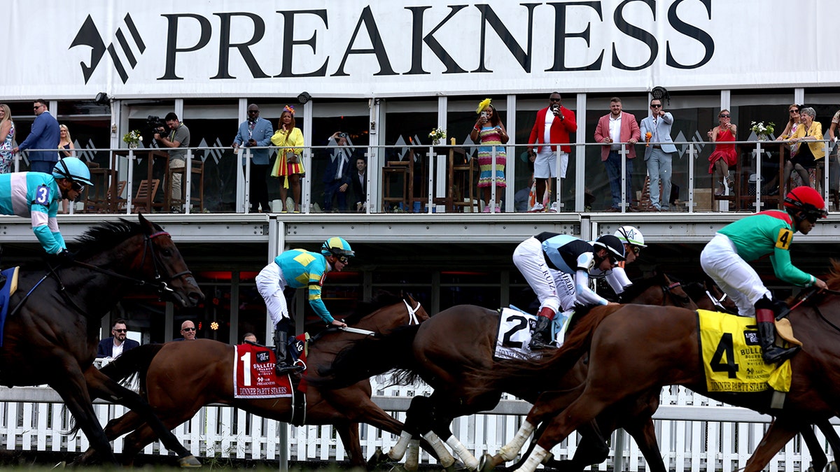 Preakness Stakes horses running