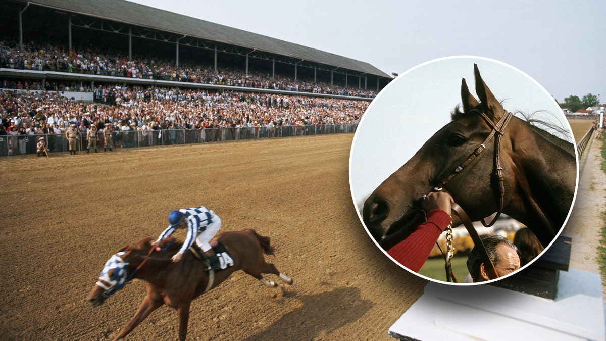 A photo of Secretariat winning the Preakness Stakes and a close up photo on the right in a circle of the horse