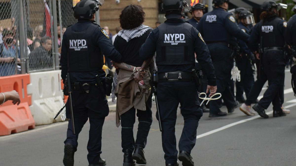 An anti-Israel protester is arrested