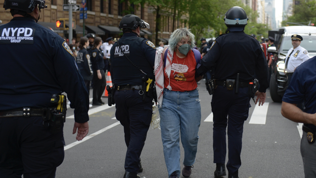 Woman with blue hair is arrested