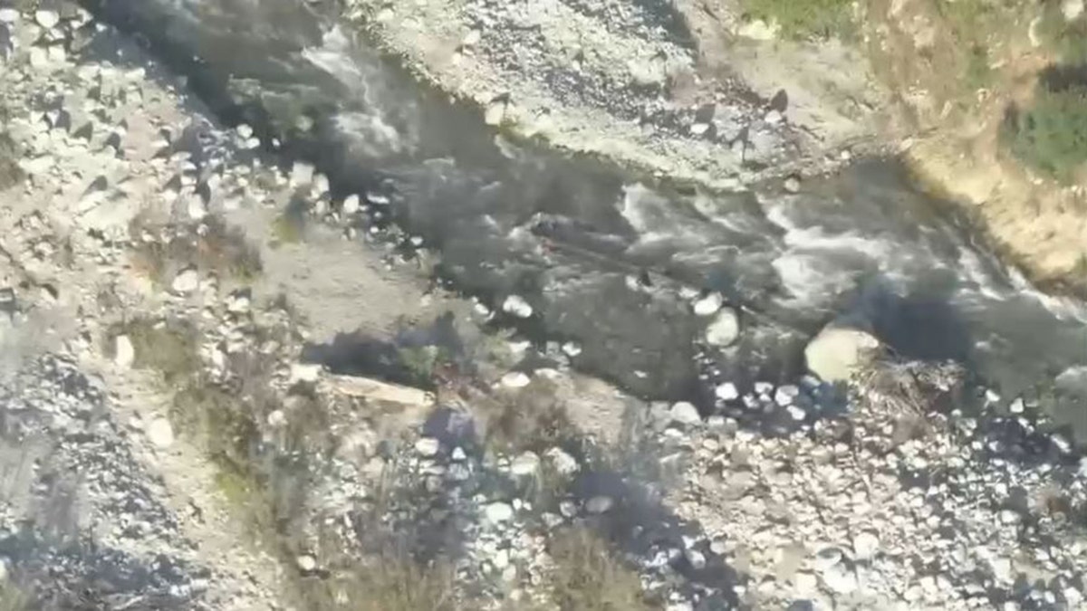 fast-flowing Mill Creek in San Bernardino Mountains