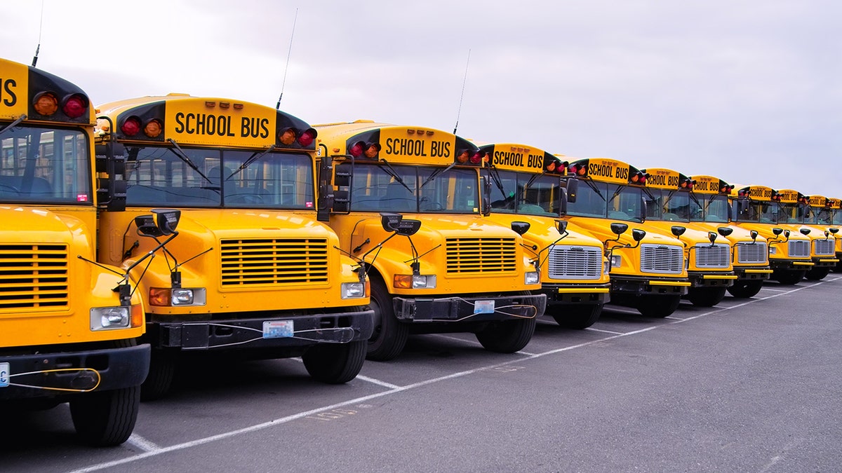 Autobuses escolares alineados en un estacionamiento