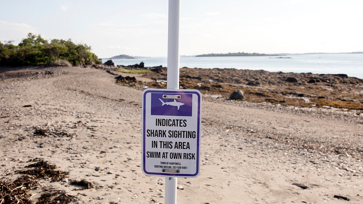 Znak ostrzegawczy dotyczący obserwacji rekinów na plaży