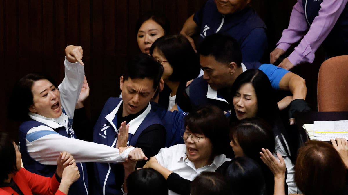 Lawmakers shoving each other