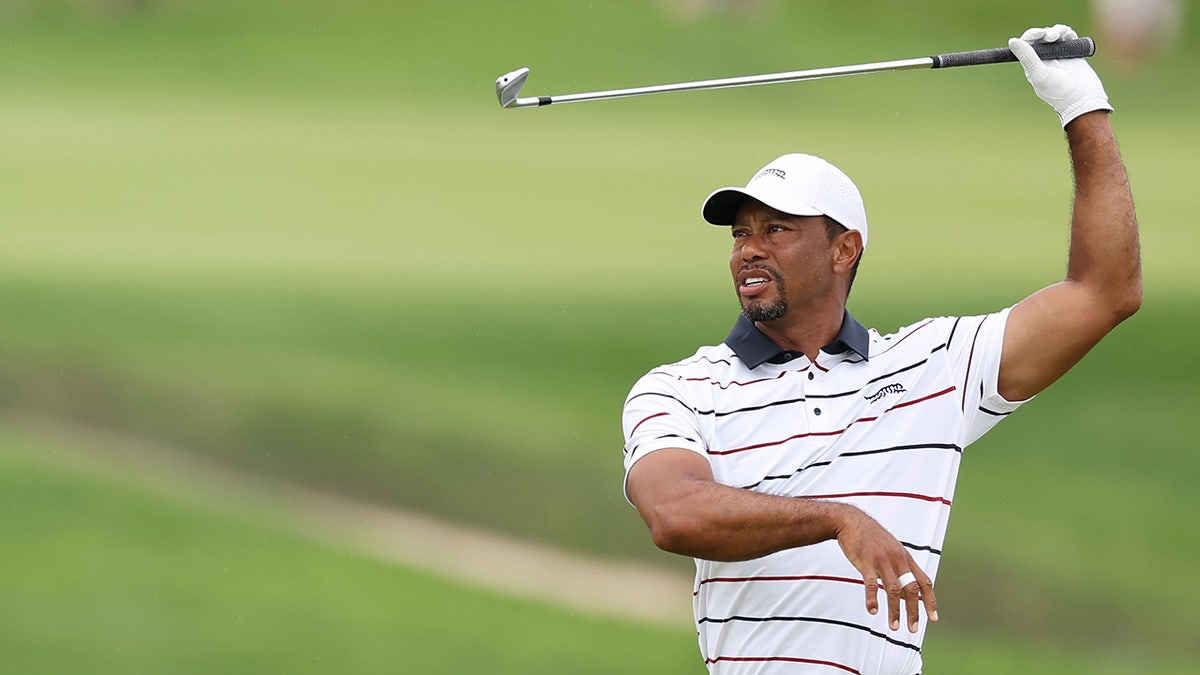 Tiger Woods errant shot