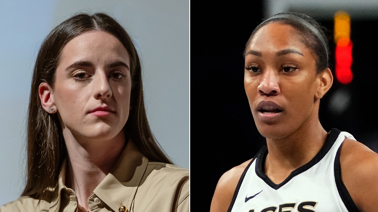 Caitlin Clark's race 'huge thing' when it comes to her popularity, WNBA  star says | Fox News