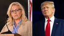 Liz Cheney joins old foe Trump in public slam of Biden's latest move in Israel: 'Wrong and dangerous'