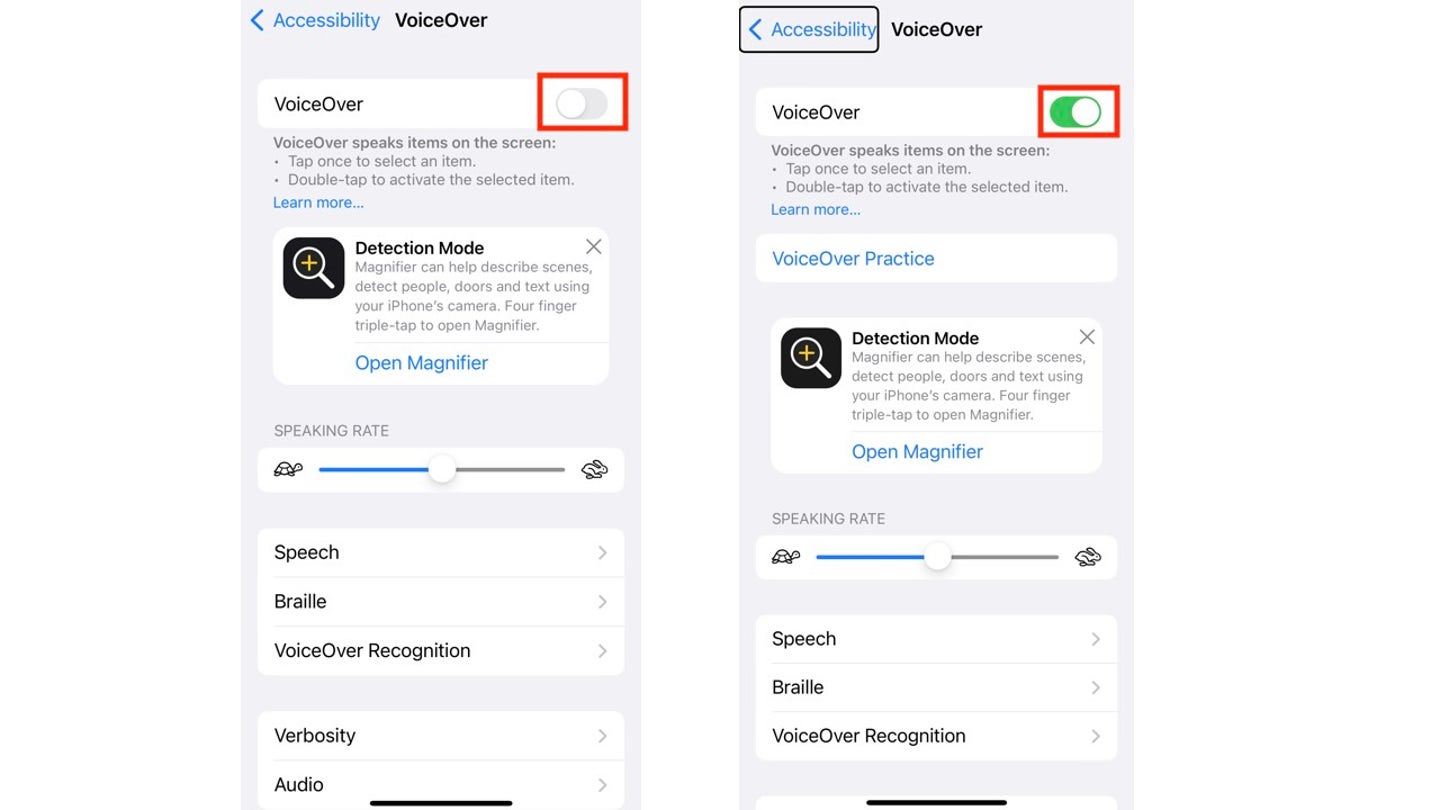 3 How to unlock special features on your iPhone to improve voice search voiceoversetup2
