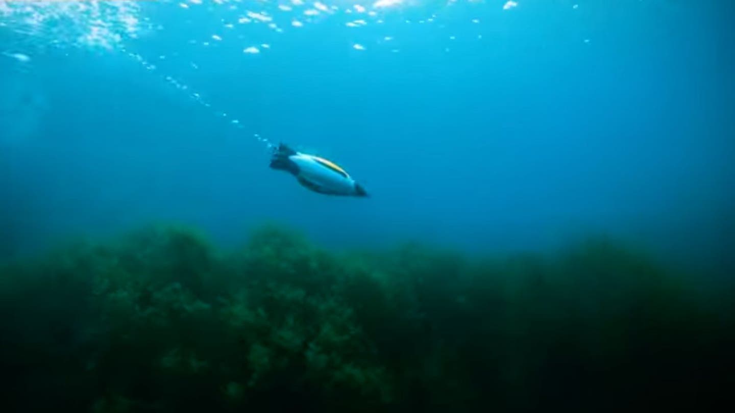 5 Penguin inspired autonomous underwater robot is using AI to explore the depths of the sea