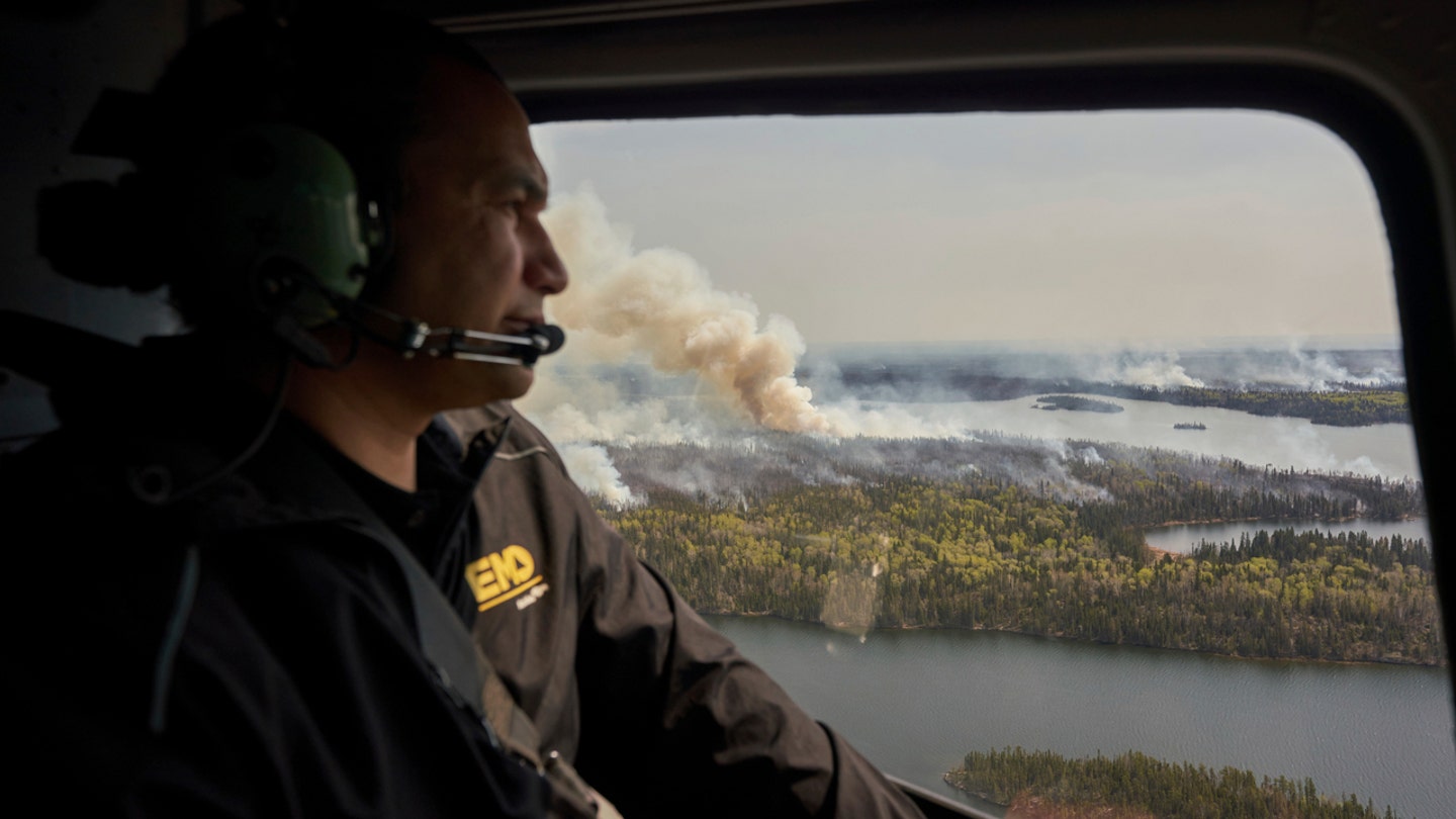 White Moose and Wildfire: A Tale of Contrasts in Alberta