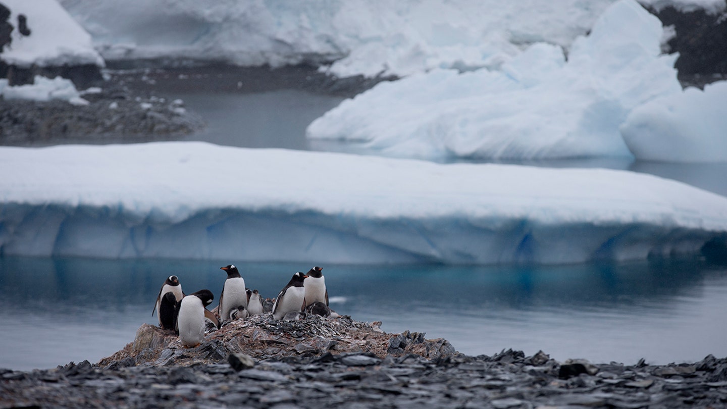 Territorial Tensions Escalate in Antarctica as Chile Convenes Meeting