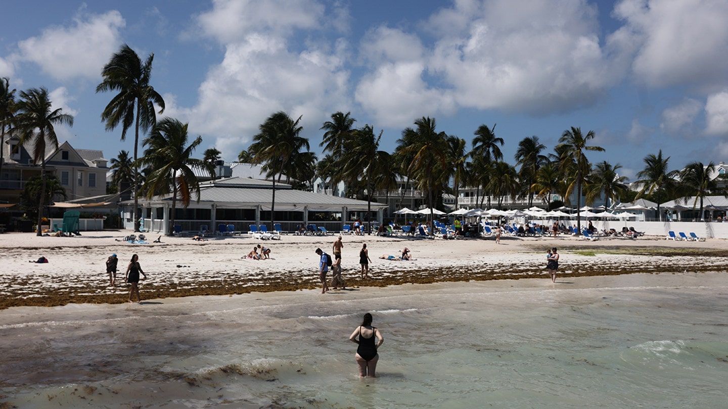 Tragic Loss in Florida Keys as Boater Fatally Strikes 15-Year-Old Water Skier