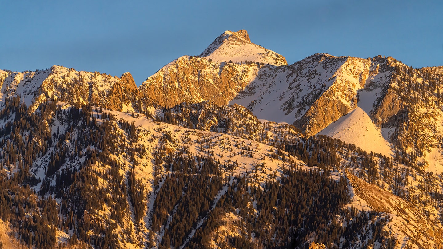 Utah Moose Struggles to Navigate Deep Snow as Avalanches Strike State