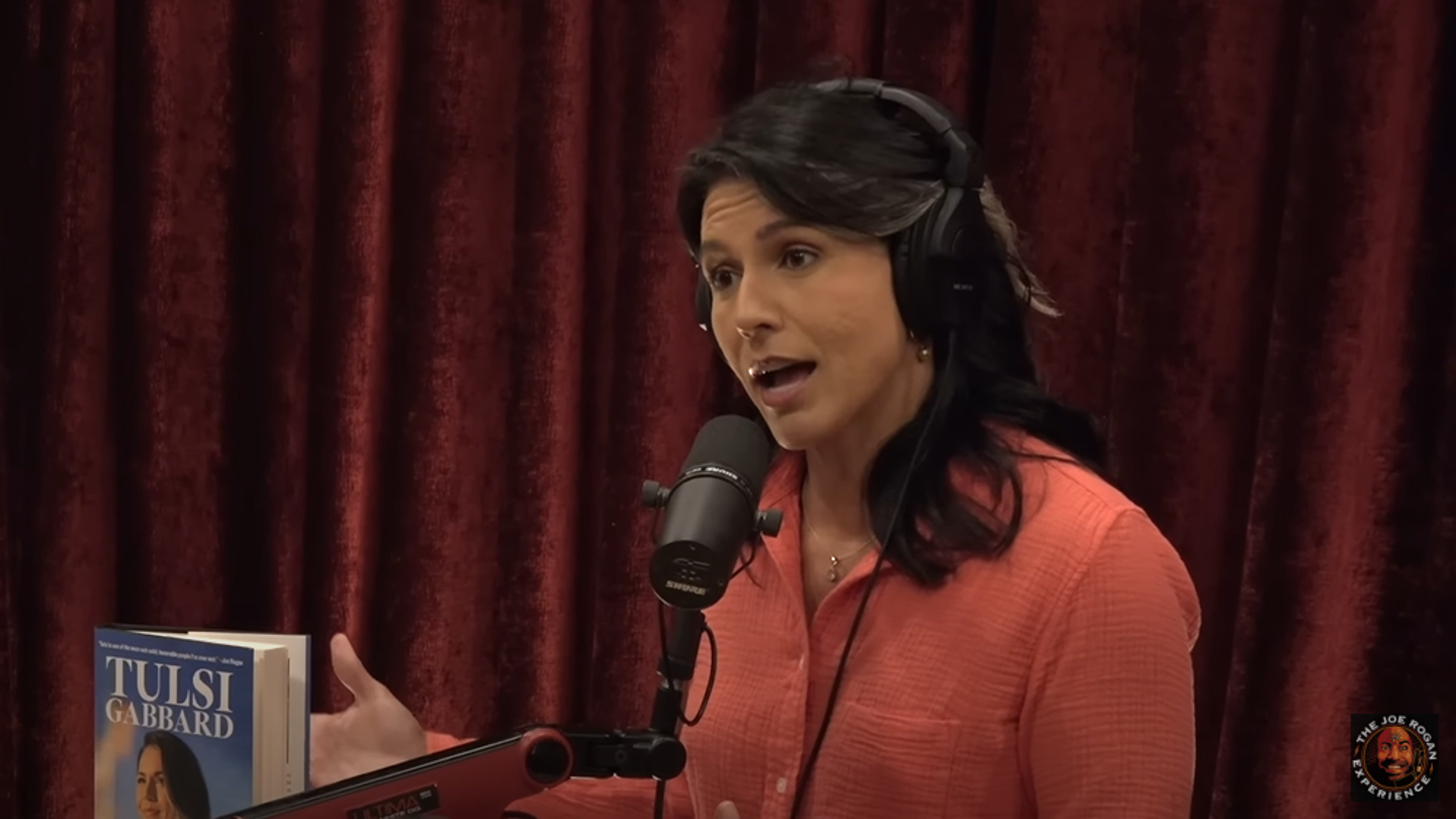 Tulsi Gabbard Warns of American Dystopia if Biden Administration Re-Elected