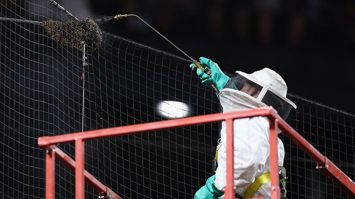 Beekeeper Matt Hilton Saves the Day at Chase Field