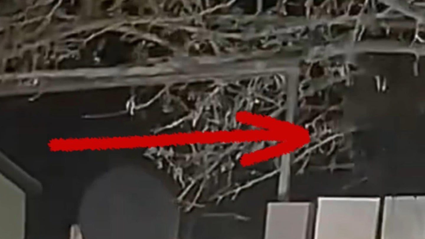 Expert Analysis Uncovers Hidden Details in Alleged Las Vegas Alien Sighting