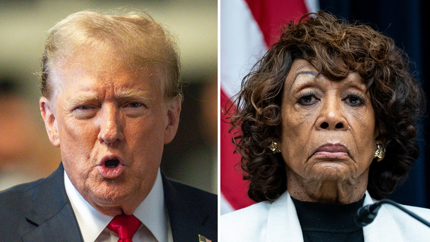 Maxine Waters Calls for Investigation into Trump Supporters, Fears Civil War Preparations