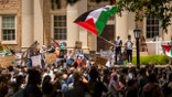Protesters, Palestinian flag