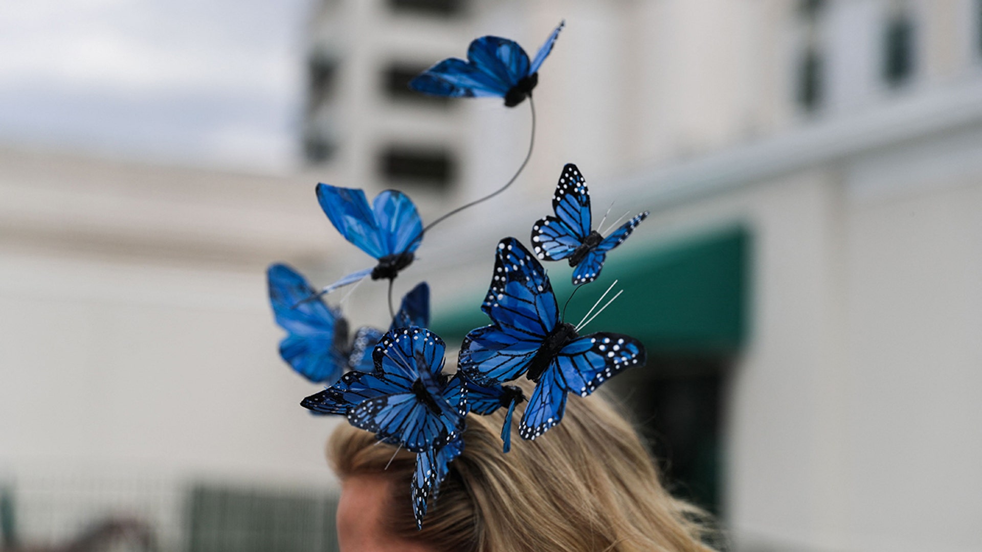 blue-butterfly-KY-derby-hat