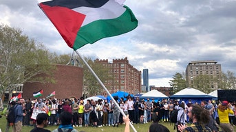 Former Biden diplomat explains what she thinks 'free Palestine' slogan has become - Fox News