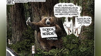 Political cartoons of the day