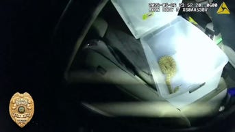 Police officer's explicit reaction when car search leads to rattling discovery