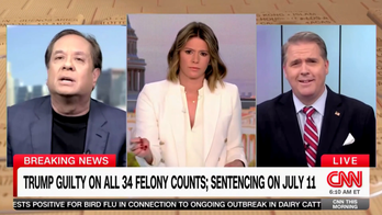 Anti-Trump attorney yells at CNN contributor in fierce argument over Trump conviction: 'You're lying!'