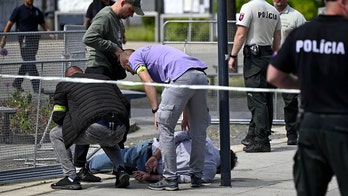 Suspect who shot Slovakia PM Fico reveals possible motive: report