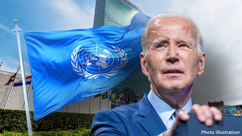 US law could force Biden to pull UN funding if Palestinian recognition bypass succeeds, experts say