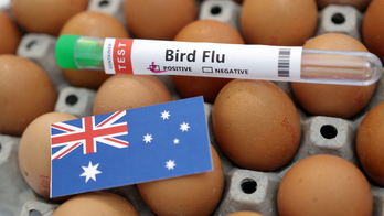 Australia reports new bird flu case at poultry farm as global concerns rise