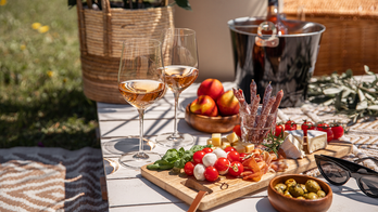 11 Alfresco Dining Essentials for a Perfect Summer Picnic
