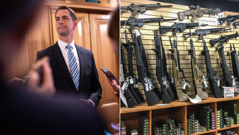 Republicans team up to defeat longtime 'restriction' targeting gun owners: 'Violation of the Second Amendment'