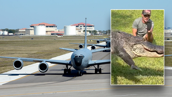 Alligator roams around Florida Air Force base, sparking amusement