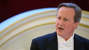 UK's Cameron discussed Ukraine-Russia peace deal with Trump: report