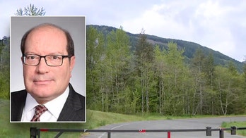 Washington pilot who had gone missing found dead in plane that crashed in forested area