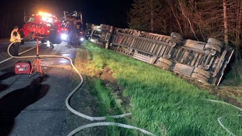 Tractor-trailer hauling 15 million bees overturns after crash on Maine highway