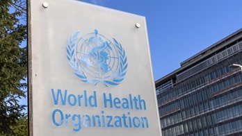 US, Western countries push for pandemic response deal as WHO negotiations drag on