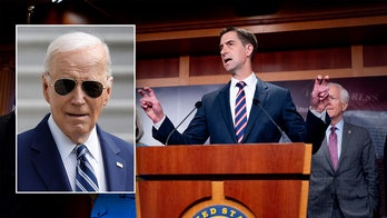 Gullible' Biden admin lambasted by Sen. Cotton for 'de facto' supporting Hamas victory over Israel