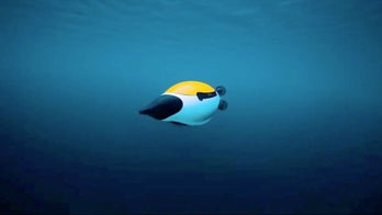 Robot inspired by beloved arctic animals making waves in underwater research