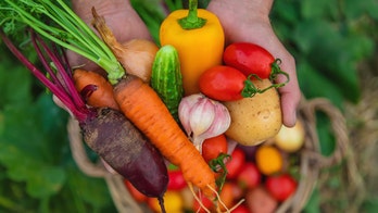 Mother begs thieves to stop raiding her garden after neighbor's free farm stand sparks confusion