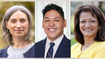 Top House Democrat's sister loses crowded deep blue primary despite endorsements from 'Squad'