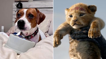 Dog goes viral on TikTok for his emotional reaction to watching 'The Lion King'