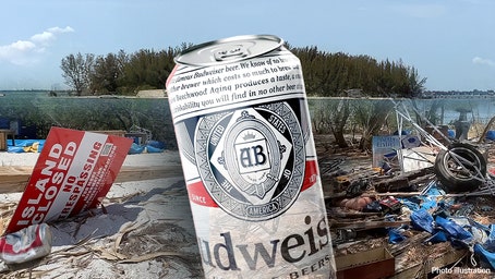 'Beer Can Island' plundered by party pirates, owners vow to rebuild before sale