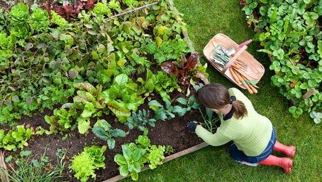 10 garden tools every gardener should have — here are smart ways to make the job easier