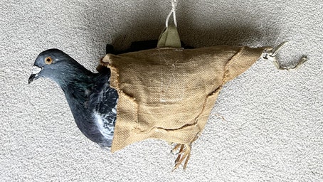 Pigeon parachute used to carry messages amid WWII discovered in old shoebox