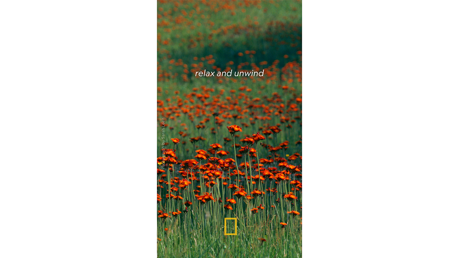 natgeo downloadable phone background with flowers
