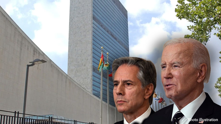 US law could force Biden to pull UN funding if Palestinian recognition bypass succeeds, experts say