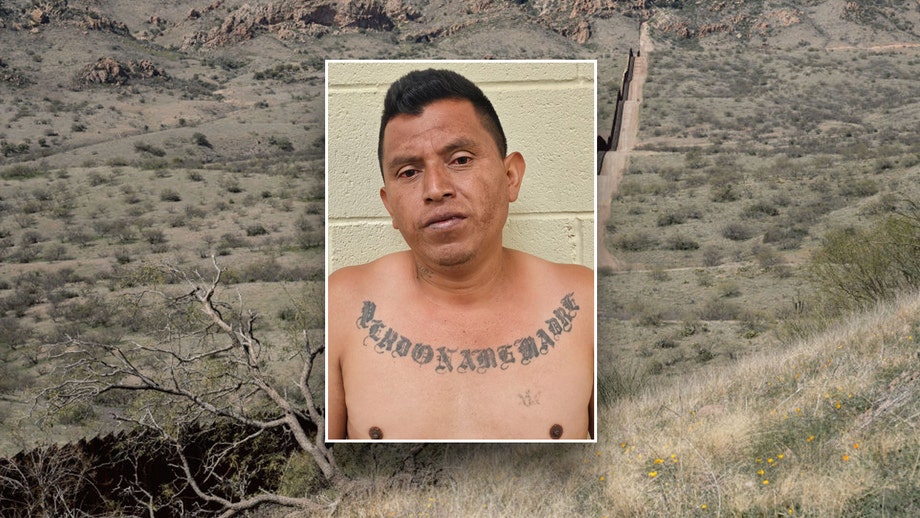 Illegal immigrant with past sex conviction captured in border state