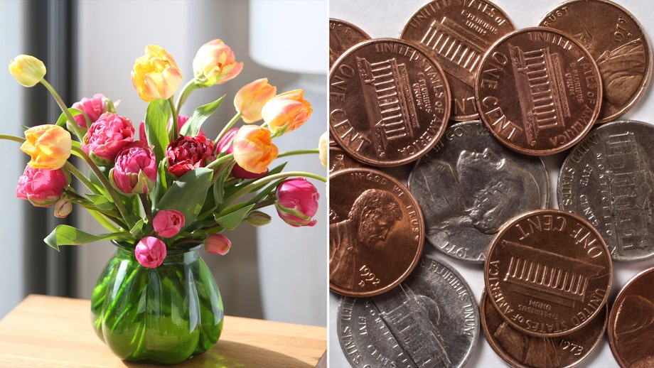 Viral flower hacks are busted by floral expert: 'Good intentions gone a little too far'
