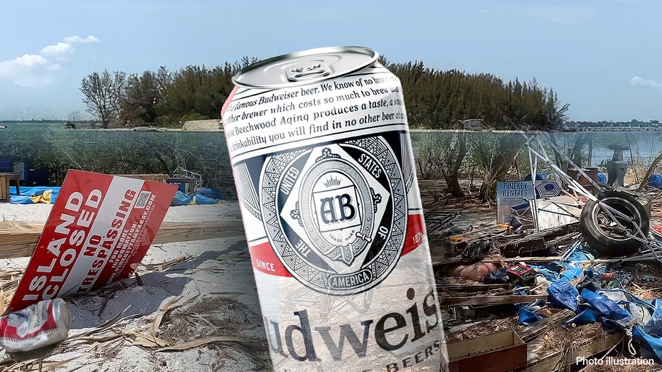 ‘Beer Can Island’ plundered by party pirates, owners vow to rebuild before sale